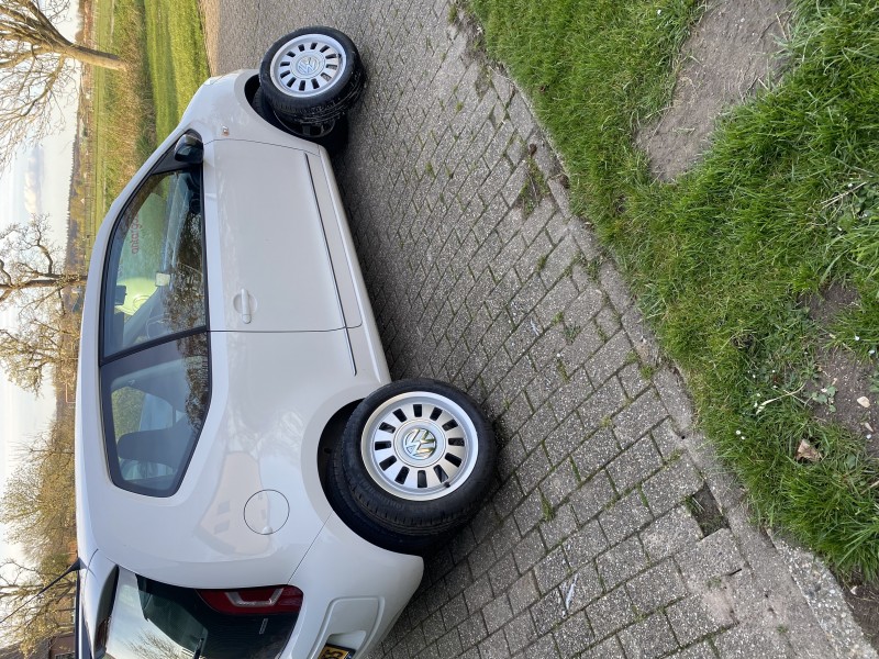 2715B1A2-2425-42D3-845A-995E0F23CD99.jpeg (5.97 MiB) 12970 keer bekeken 2715B1A2-2425-42D3-845A-995E0F23CD99.jpeg